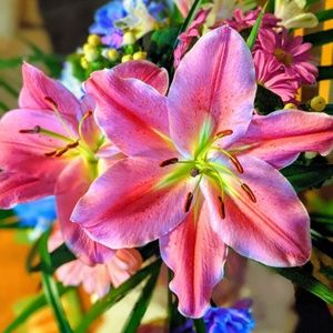 Meet your Posher, Beverly